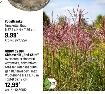 OBI Grow by obi chinaschilf „red chief“ Angebot