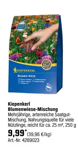 OBI Kiepenkerl blumenwiese-mischung Angebot