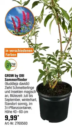 OBI Grow by obi sommerflieder (buddleja davidii) Angebot