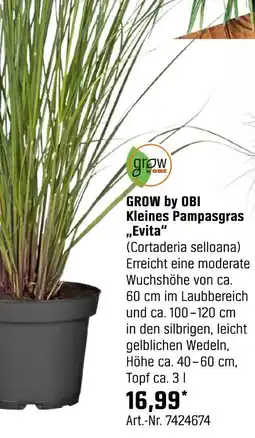 OBI Grow by obi kleines pampasgras „evita“ Angebot
