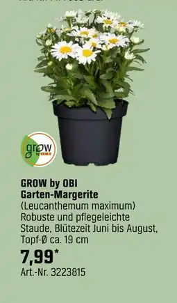 OBI Grow by obi garten-margerite (leucanthemum maximum) Angebot