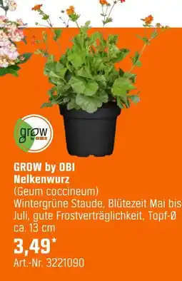 OBI Grow by obi nelkenwurz (geum coccineum) Angebot