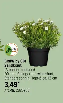 OBI Grow by obi sandkraut (arenaria montana) Angebot