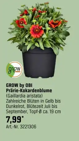 OBI Grow by obi prärie-kokardenblume (gaillardia aristata) Angebot