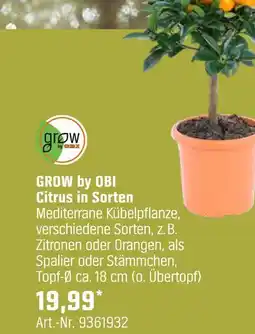 OBI Grow by obi citrus in sorten Angebot