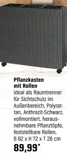 OBI Pflanzkasten mit rollen Angebot