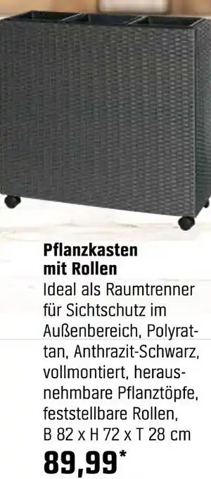 OBI Pflanzkasten mit rollen Angebot