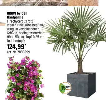 OBI Grow by obi hanfpalme (trachycarpus for.) Angebot
