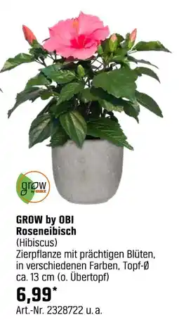OBI Grow by obi roseneibisch (hibiscus) Angebot