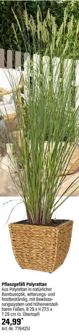 OBI Pflanzgefäß polyrattan Angebot