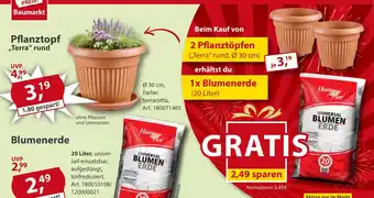 Sonderpreis Baumarkt Pflanztopf ,,Terra" rund Angebot