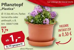 Sonderpreis Baumarkt Pflanztopf ,,Plastica" Angebot