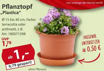 Sonderpreis Baumarkt Pflanztopf ,,Plastica" Angebot
