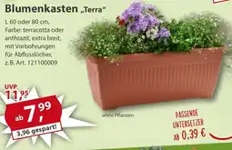 Sonderpreis Baumarkt Blumenkasten „Terra" Angebot