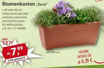 Sonderpreis Baumarkt Blumenkasten „Terra" Angebot