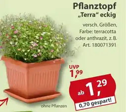 Sonderpreis Baumarkt Pflanztopf „Terra" eckig Angebot