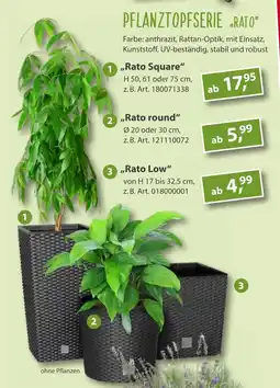 Sonderpreis Baumarkt PFLANZTOPFSERIE „RATO" Angebot