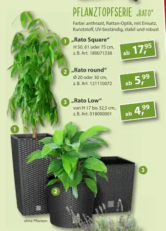 Sonderpreis Baumarkt PFLANZTOPFSERIE „RATO" Angebot