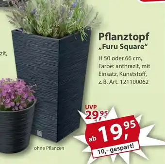 Sonderpreis Baumarkt Pflanztopf „Furu Square" Angebot