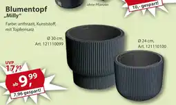 Sonderpreis Baumarkt Blumentopf „Milly" Angebot