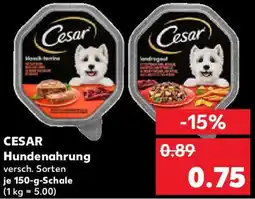 Kaufland CESAR Hundenahrung Angebot
