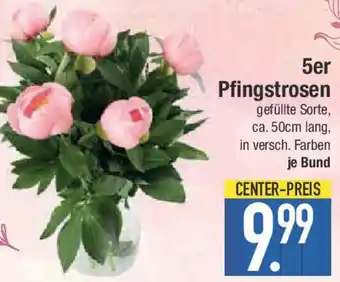 E-Center 5er Pfingstrosen Angebot