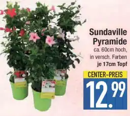 E-Center Sundaville Pyramide Angebot