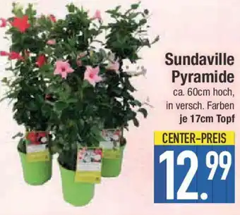 E-Center Sundaville Pyramide Angebot