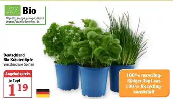 Globus Deutschland Bio Kräutertöpfe Angebot