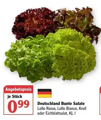 Globus Deutschland Bunte Salate Angebot