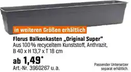 OBI Florus Balkonkasten „Original Super" Angebot