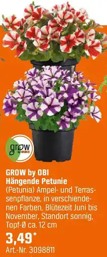 OBI GROW by OBI Hängende Petunie Angebot