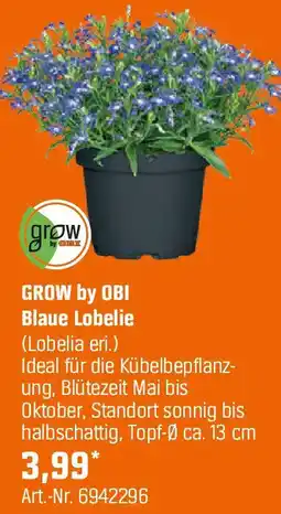 OBI GROW by OBI Blaue Lobelie Angebot