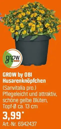 OBI GROW by OBI Husarenknöpfchen Angebot