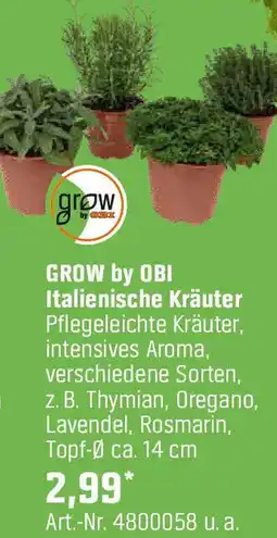 OBI GROW by OBI Italienische Kräuter Angebot