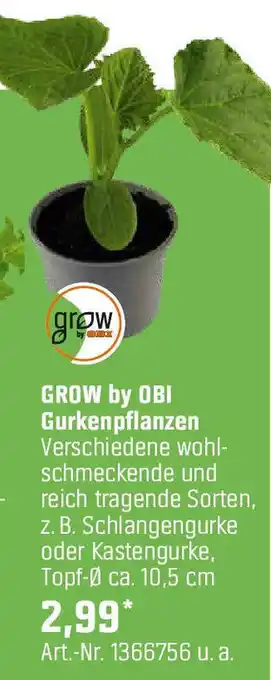 OBI GROW by OBI Gurkenpflanzen Angebot