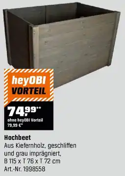 OBI Hochbeet Angebot