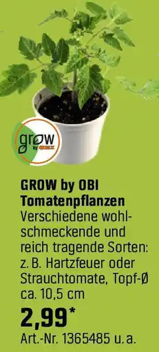 OBI GROW by OBI Tomatenpflanzen Angebot