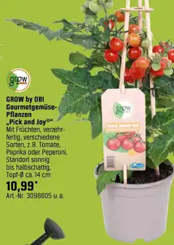 OBI GROW by OBI Gourmetgemüse Pflanzen ,,Pick and Joy" Angebot