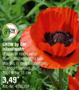 OBI GROW by OBI Islandmohn Angebot