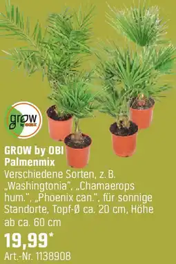 OBI GROW by OBI Palmenmix Angebot