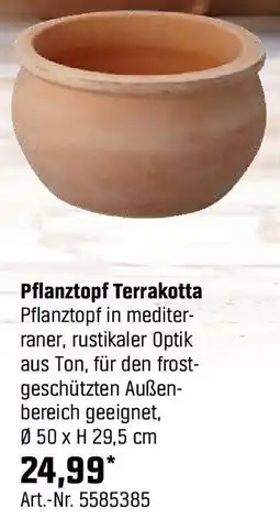 OBI Pflanztopf Terrakotta Angebot