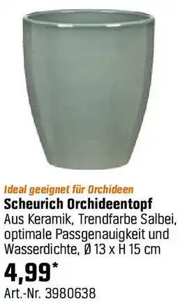 OBI Scheurich Orchideentopf Angebot