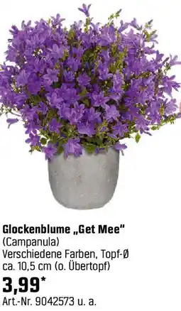 OBI Glockenblume „Get Mee" Angebot