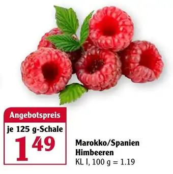 Globus Marokko/Spanien Himbeeren 125g Angebot