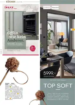Zurbrüggen Dieter knoll top soft Angebot