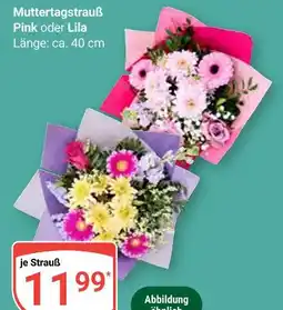 Globus Muttertagsstrauß pink oder lila Angebot