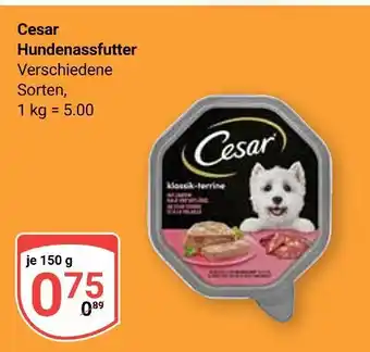 Globus Cesar hundenassfutter Angebot