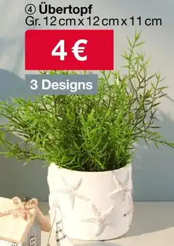 Woolworth Übertopf Angebot