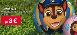 Woolworth PVC Ball Angebot